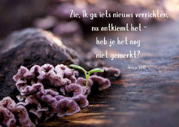 Zie, Ik ga iets nieuws verrichten