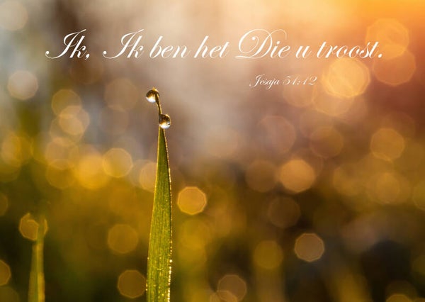 Ik, Ik ben het die u troost