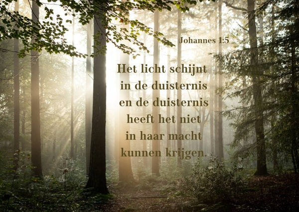 Het licht schijnt in de duisternis