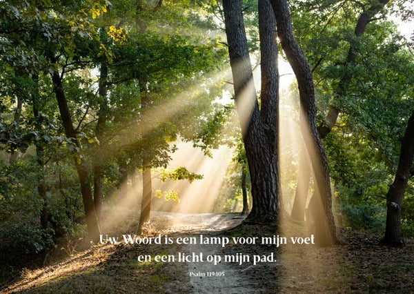 Uw woord is een lamp voor mijn voet