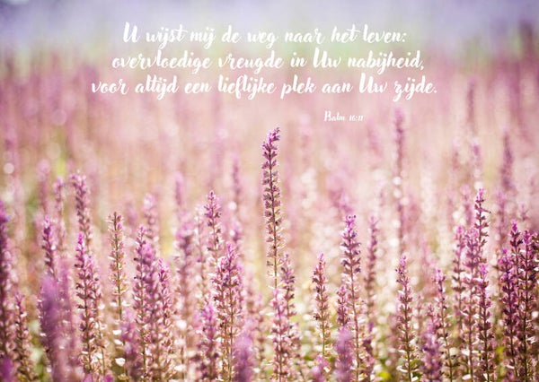 U wijst mij de weg naar het leven