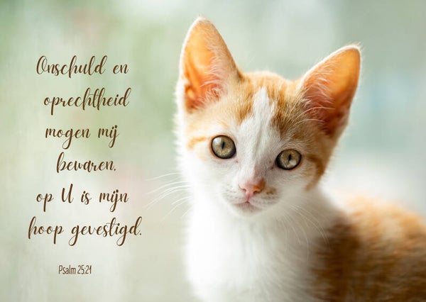 Mogen onschuld en oprechtheid mij bewaren