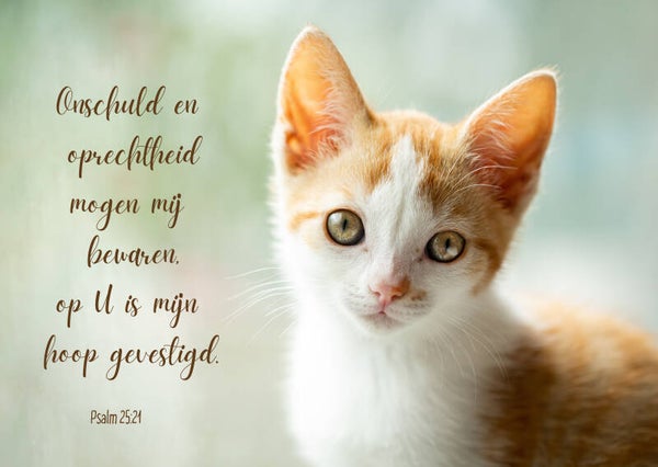 Onschuld en oprechtheid mogen mij bewaren