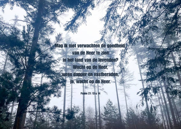 Mag ik niet verwachten de goedheid van de Heer te zien?