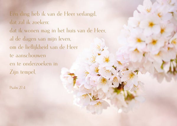 Eén ding heb ik van de Heer verlangd