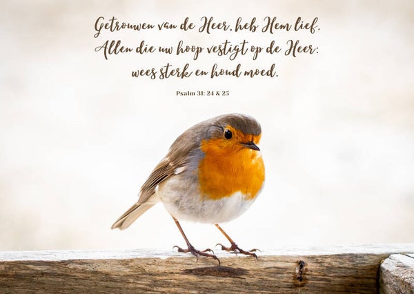 Getrouwen van de Heer, heb Hem lief