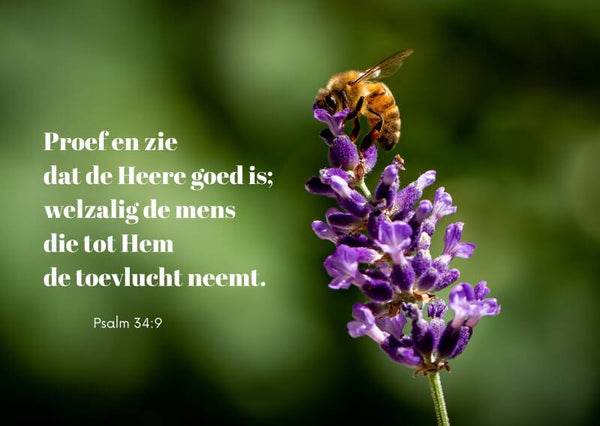 Proef en zie dat de Heere goed is