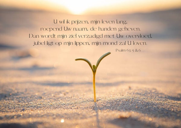 U wil ik prijzen, mijn leven lang
