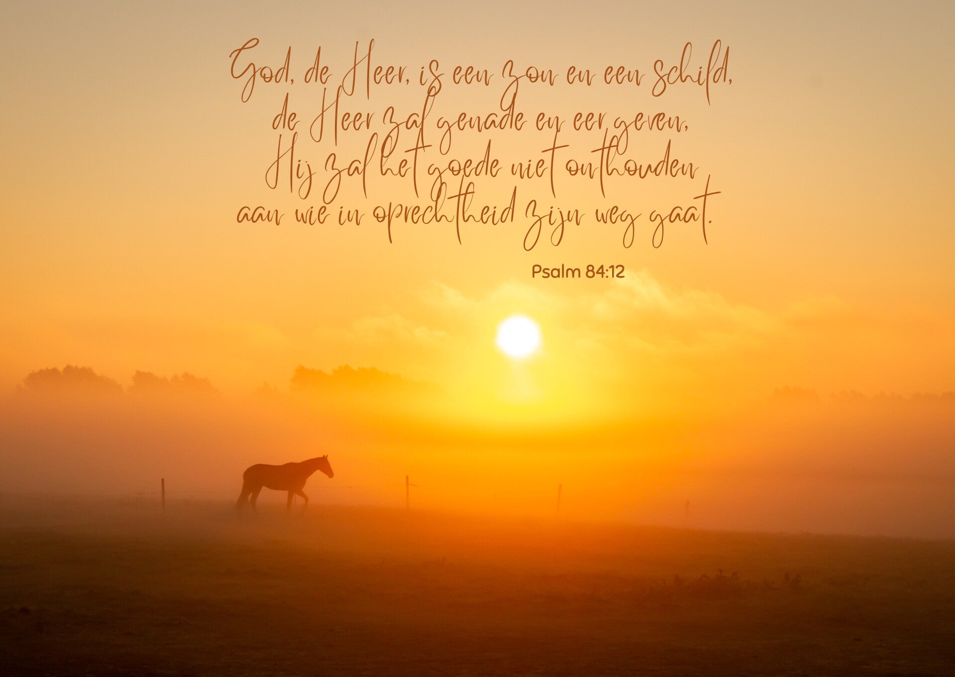 God is een zon en een schild
