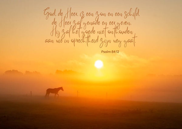 God is een zon en een schild