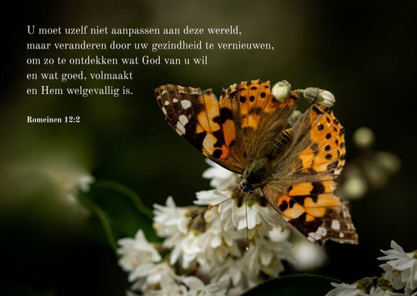 Pas jezelf niet aan aan deze wereld