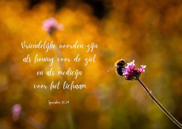 Vriendelijke woorden zijn als honing voor de ziel