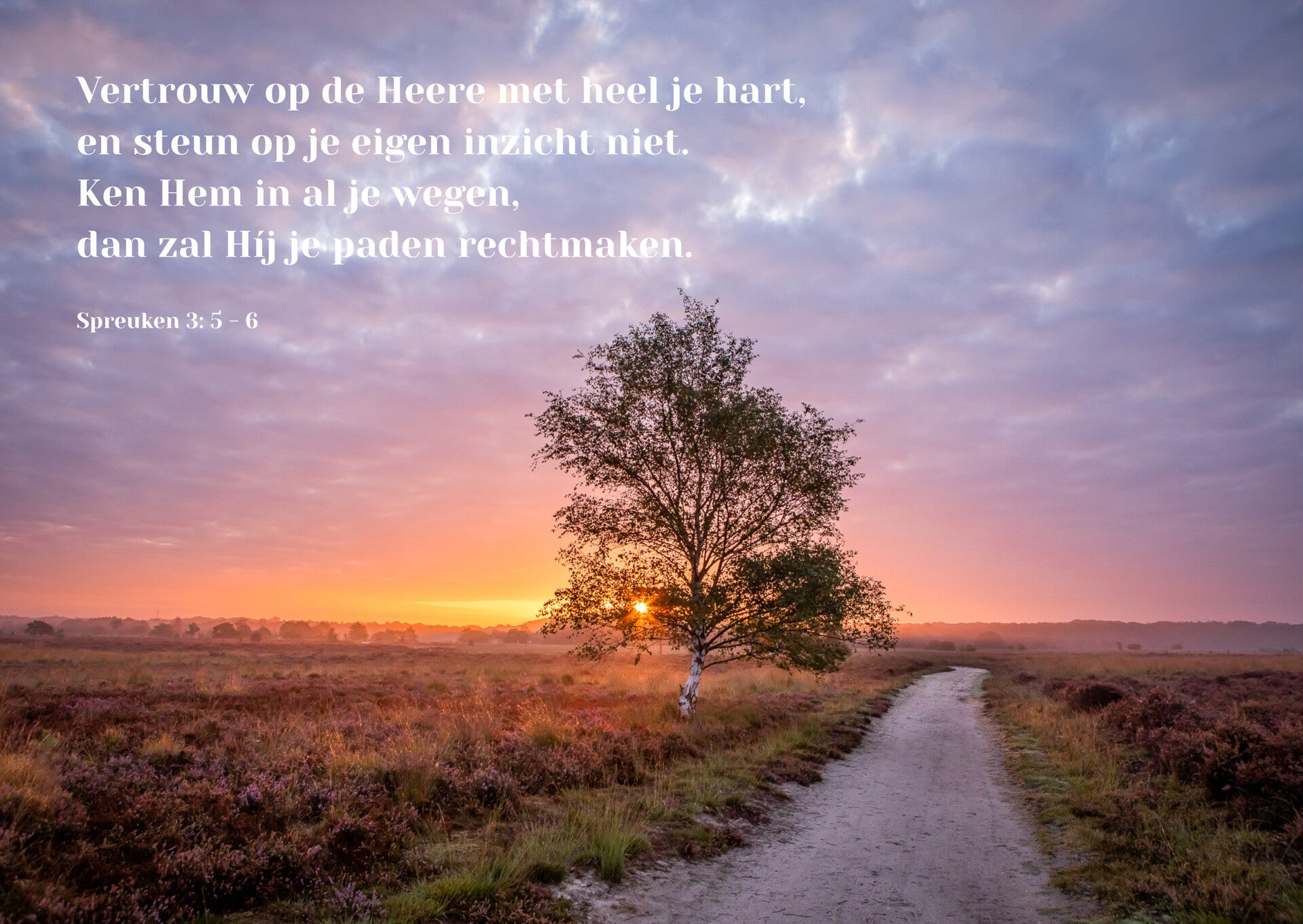 Vertrouw op de Heere met heel je hart