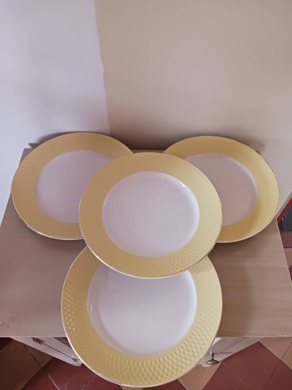 Assiettes anciennes Moulin des loups .