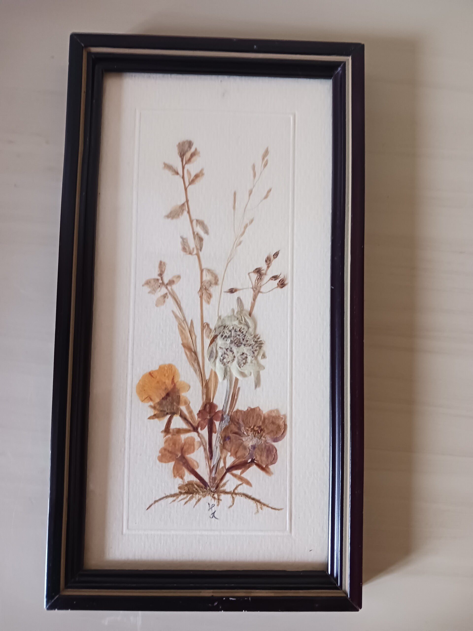 Cadre herbier vintage, signé .