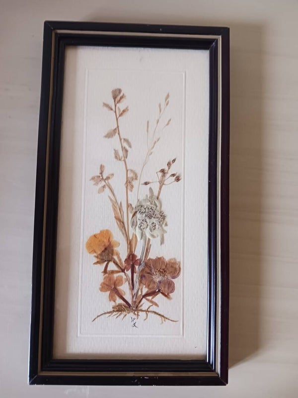 Cadre herbier vintage, signé .