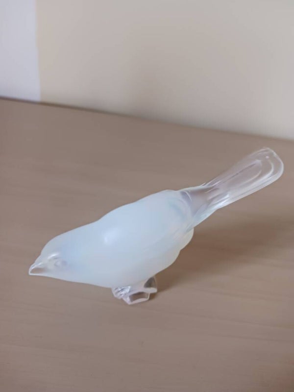Oiseau en cristal opalescent .