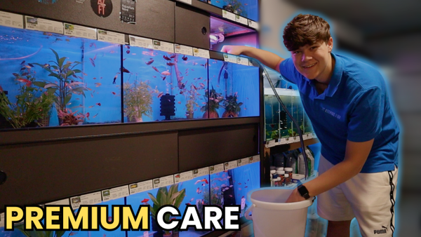 Premium Care Aquarium Onderhoud