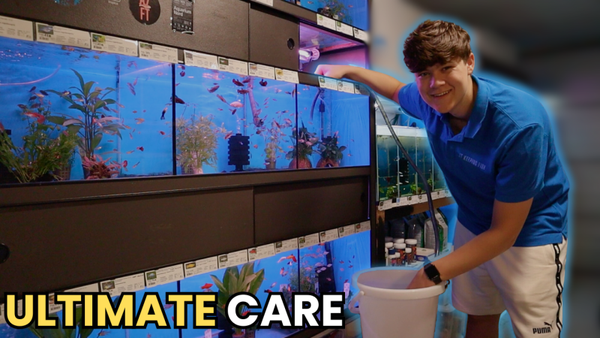 Ultimate Care Aquarium Onderhoud