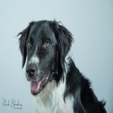 billyshoot22juli2021.jpg