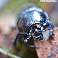 _DSC0087-01.jpeg