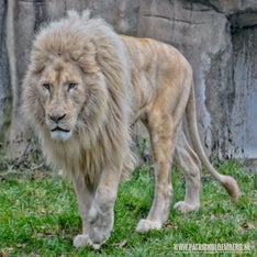 _DSC0045-01.jpeg