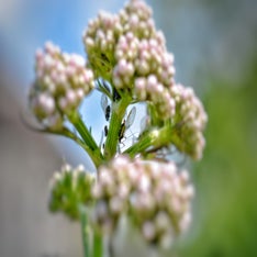_DSC0099-022.jpeg
