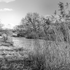 Wetering Schalkwijk 