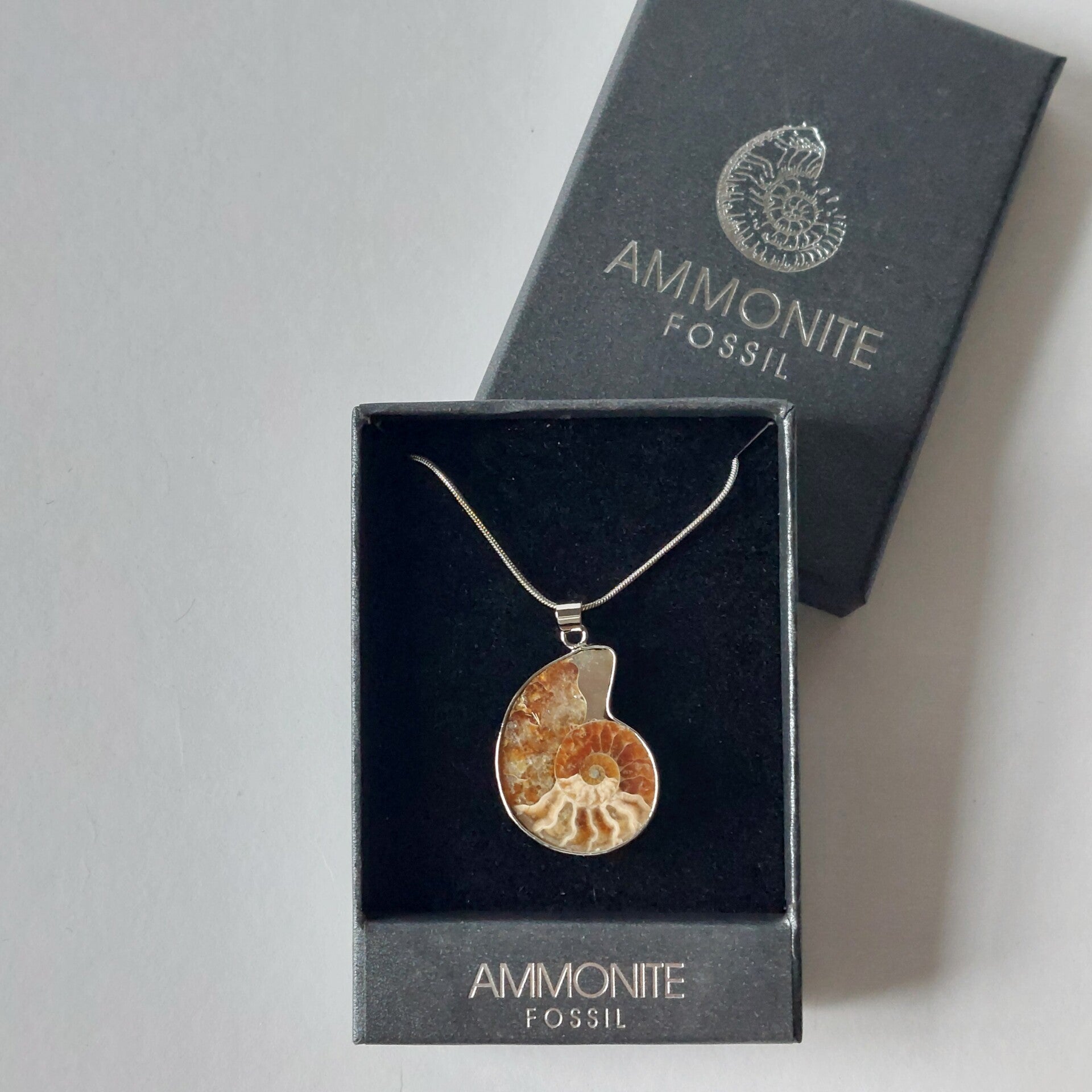 ketting zilverkleur met ammoniet fossiel handgemaakt - ingelegd