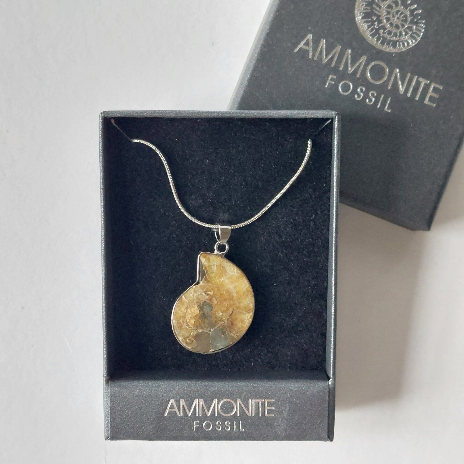 handgemaakte hanger met ammoniet fossiel aan zilverkleurige ketting uniek sieraad