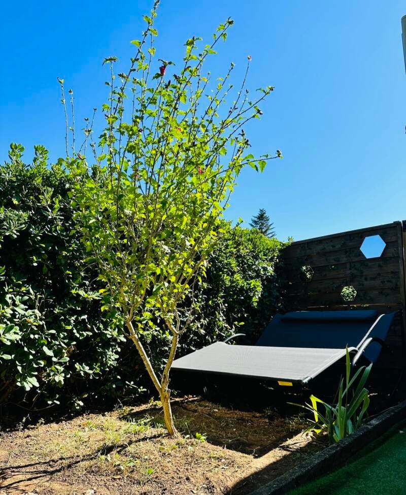 Locations saisonnières Var, jacuzzi, jardin clos