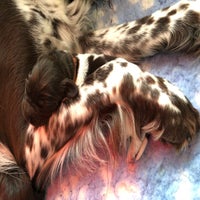 img_8364.jpeg