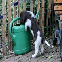 img_8769.jpeg