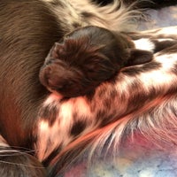 img_8368.jpeg