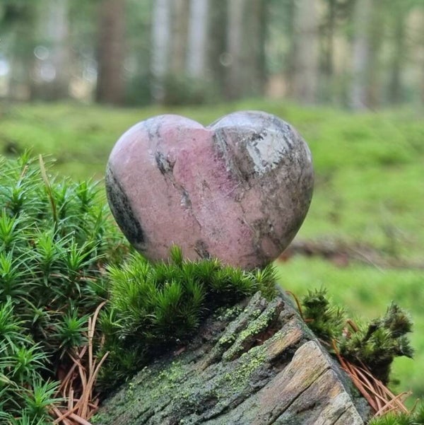 Rhodoniet Hartje