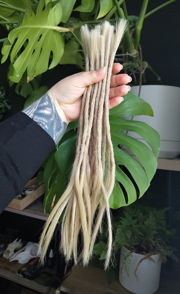 Aitohiuspidennykset, 10/A kaura