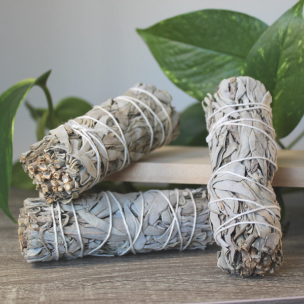 !Salvia suitsukenippu