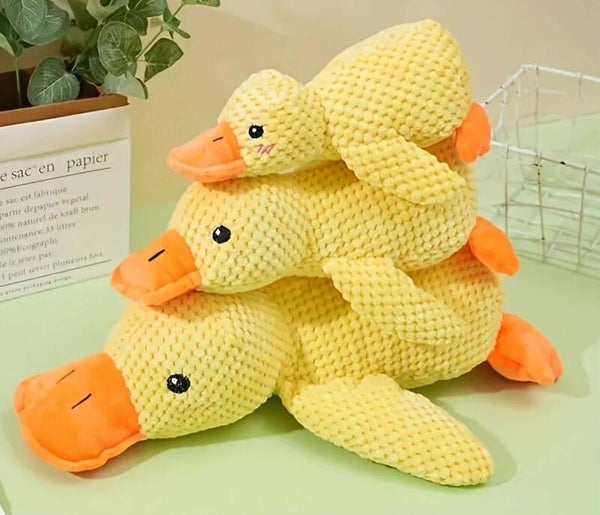 CANARD ANTI STRESS