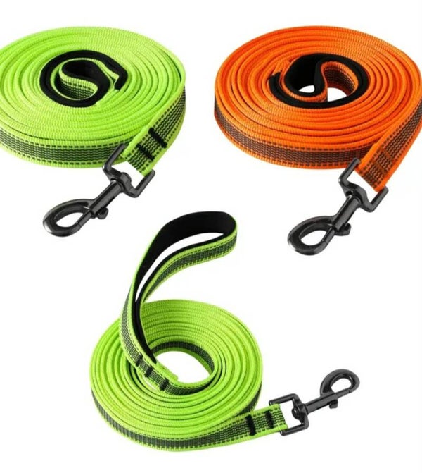 Laisse réfléchissante double face pour chien 10M
