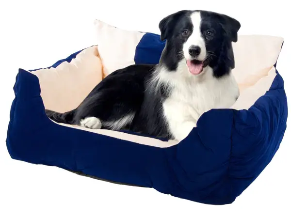 Grand lit moelleux pour un chien