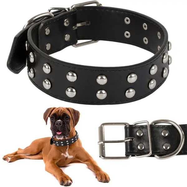 Collier pour grand chien avec clous, éco-cuir