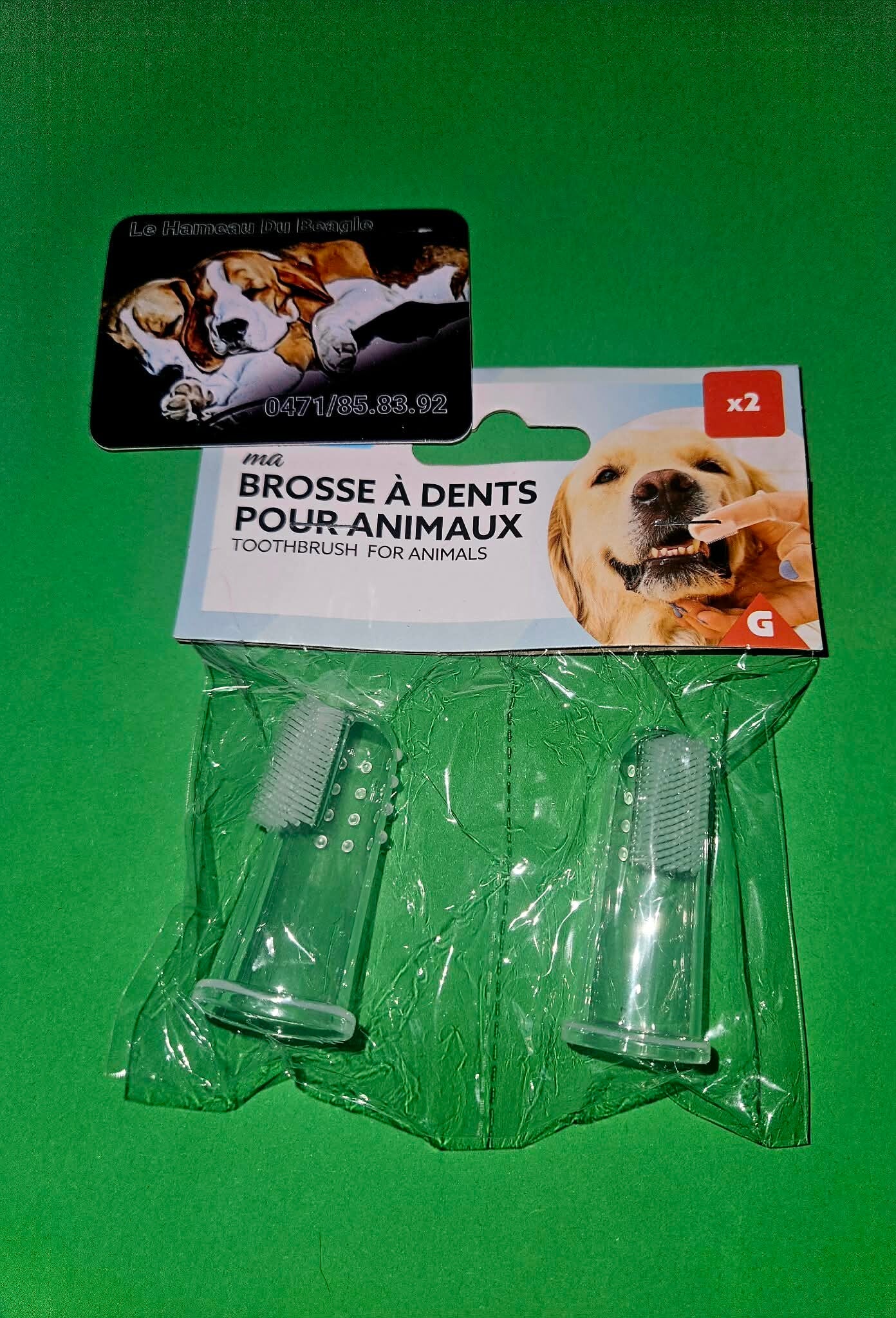 2 BROSSES A DENTS POUR CHIEN