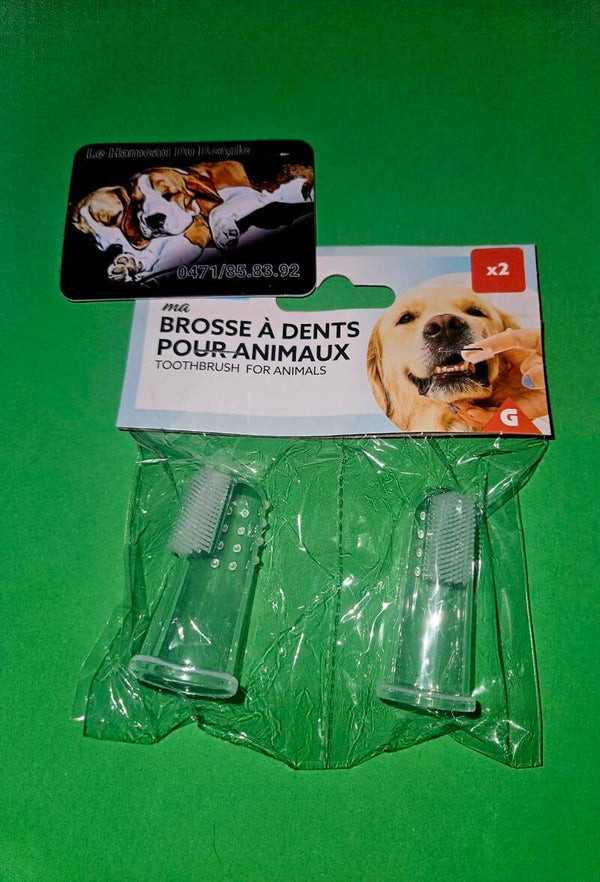 2 BROSSES A DENTS POUR CHIEN