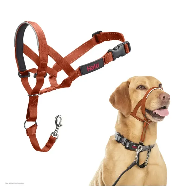Licol d'éducation anti-traction pour chien moyen, orange, réfléchissant et rembourré Halti 18153W