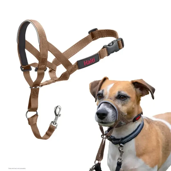 LICOL anti-traction Halti 18141W pour petits chiens, réglable et réfléchissant TAILLE 1