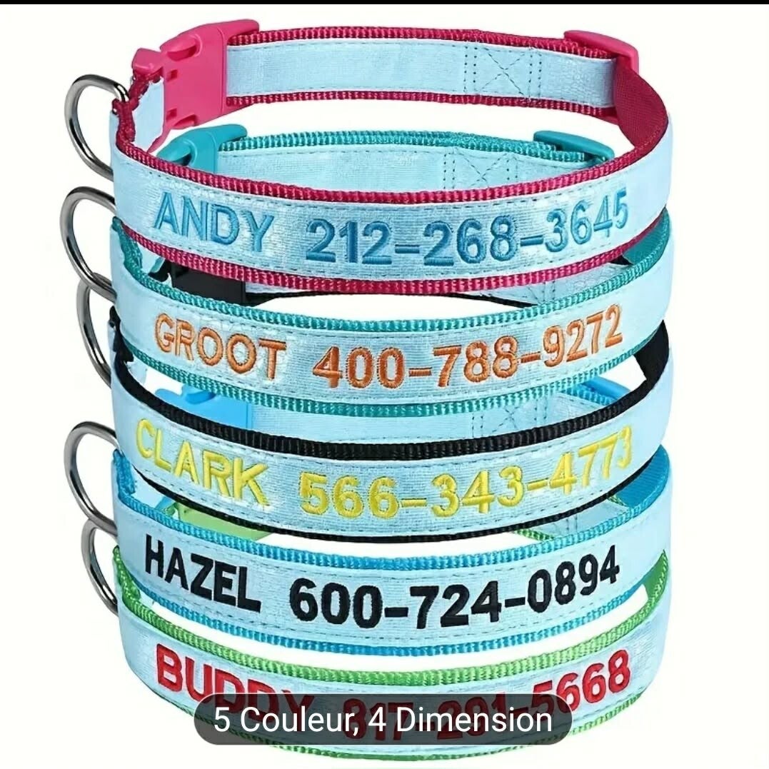 Votre Collier pour chien personnalisé ( 28 lettres ) FLUORESCENT