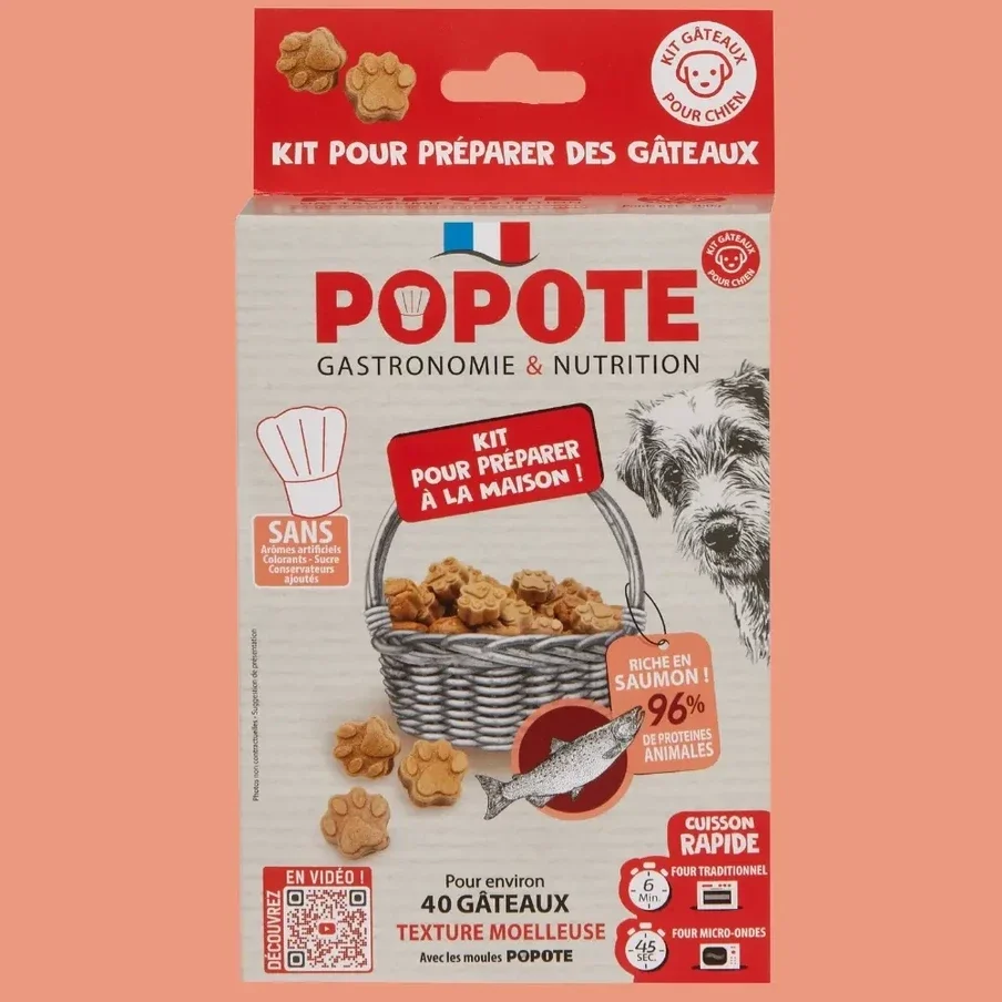 Friandises Pour Chiens – Recette Au Saumon POPOTE