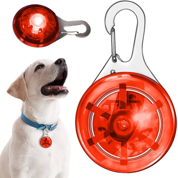 Collier led collier chien pendentif lumineux