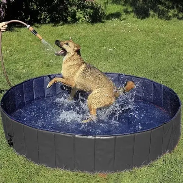 Piscine pliante/parc pour chien 120x30 cm