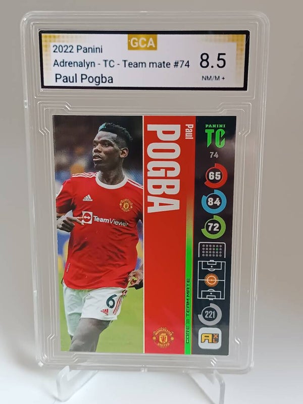 0050208 (Pogba)